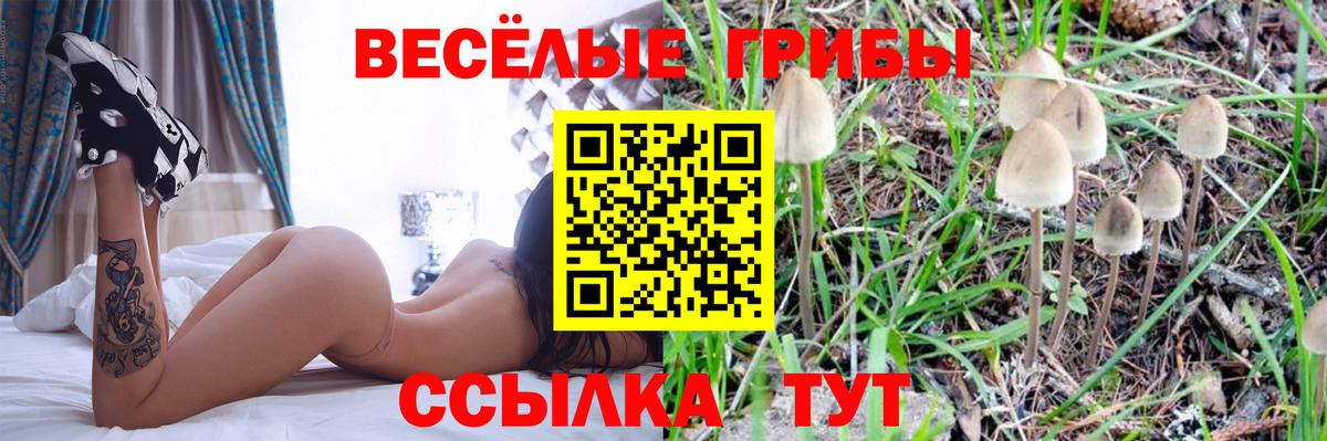 Галлюциногенные грибы GOLDEN TEACHER  Вход с VPN  дарнет шоп  Орехово-Зуево 